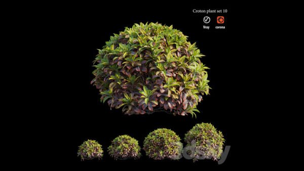 croton plant set 10 3d model feature